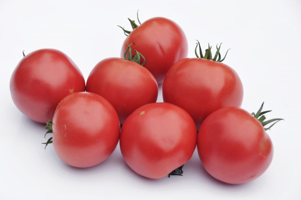 Zdjęcie produktu
