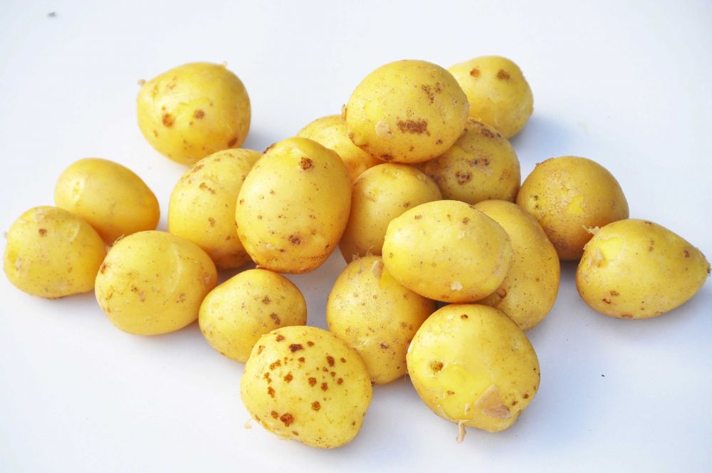 Zdjęcie produktu